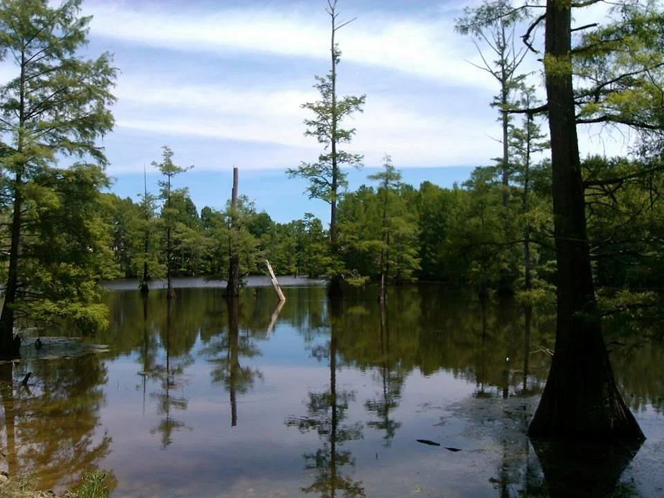 LeFleur's Bluff State Park