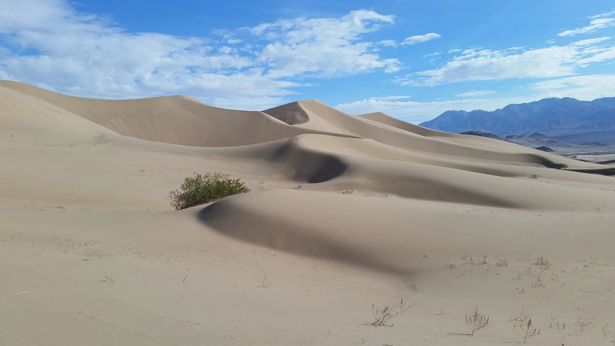 Ibex Dunes