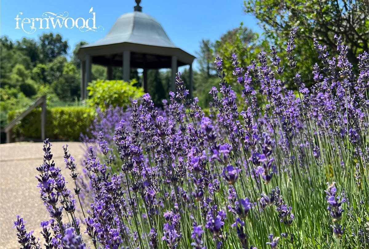 Fernwood Botanical Garden and Nature Preserve