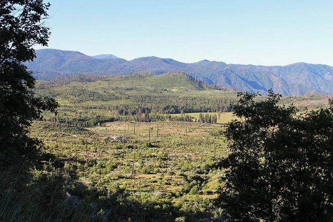 Big Oak Flat Road
