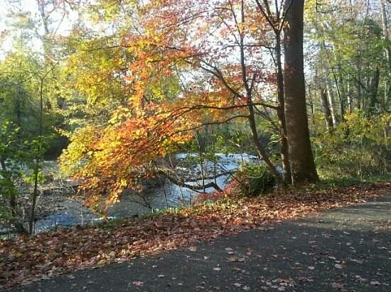 The Struble Trail