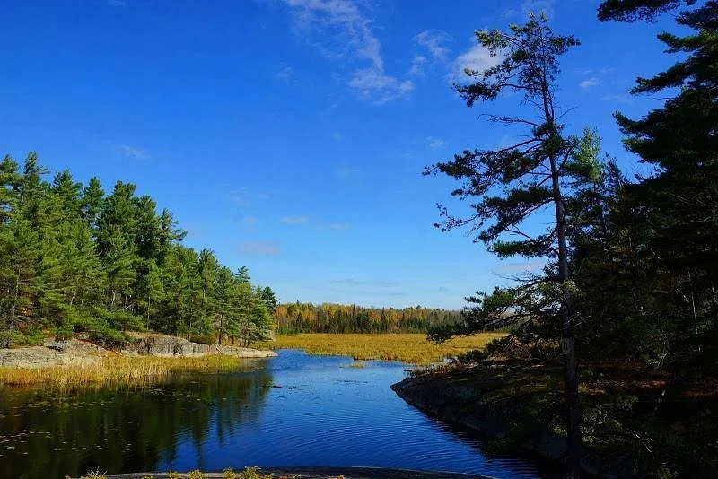 Grundy Lake Provincial Park