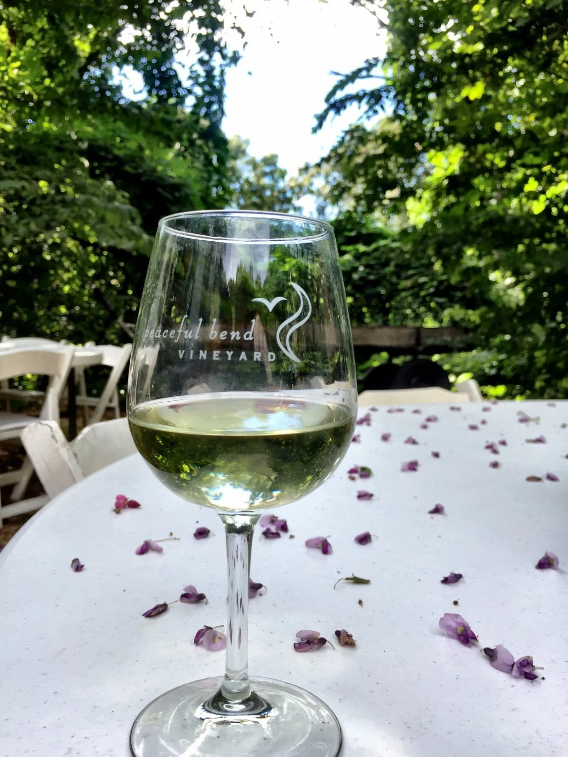 Peaceful Bend Vineyard