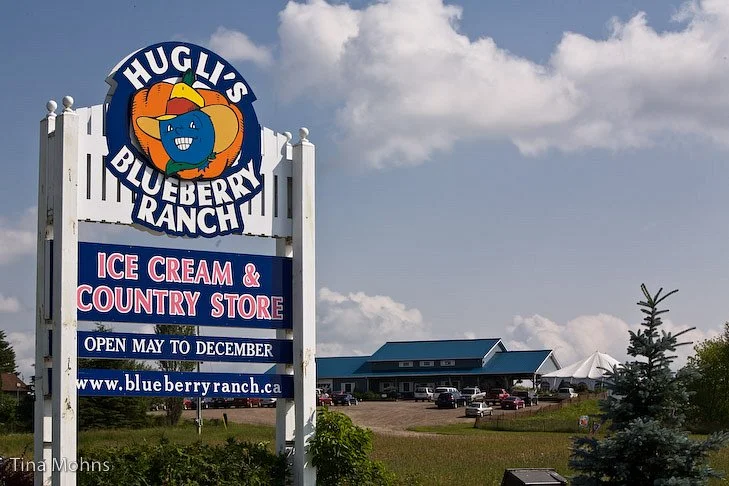 Hugli's Blueberry Ranch & Country Gift Store