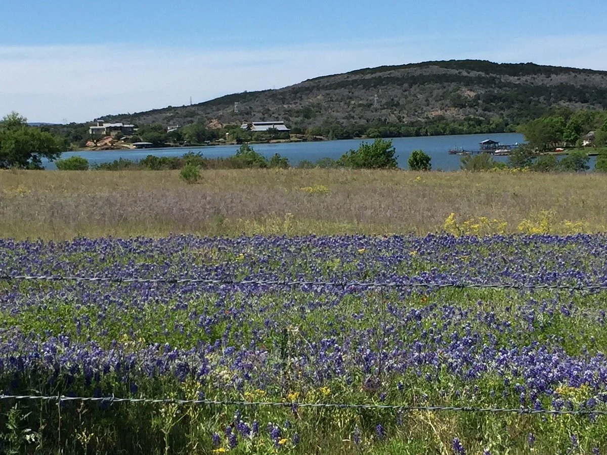 Bluebonnet Trail