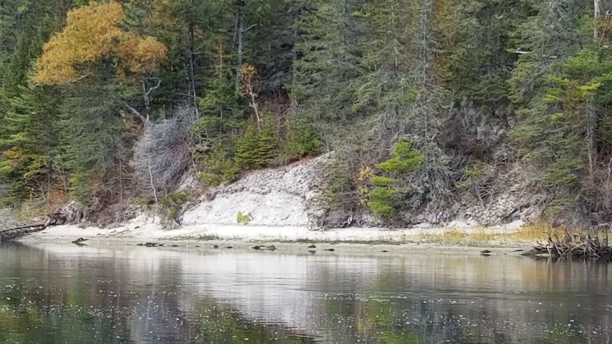 Whaleback Shell Midden State Historic Site