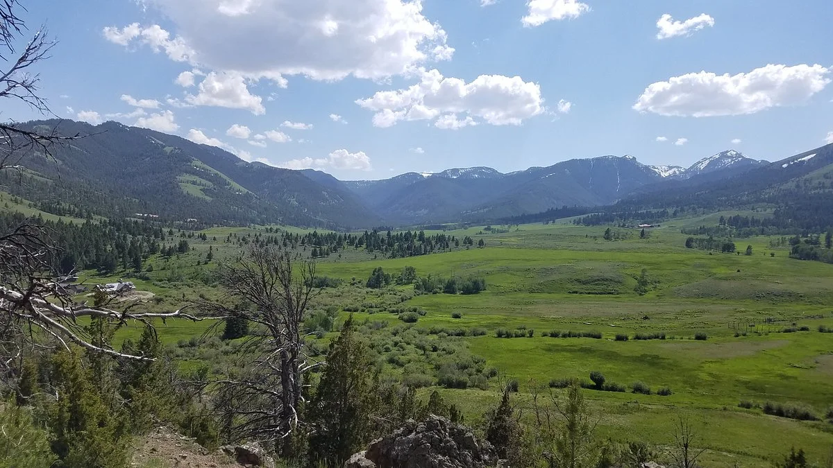 Wilderness Connection