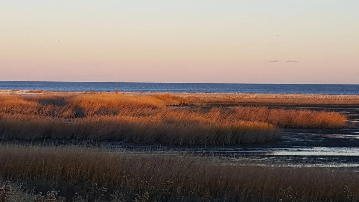 The Coastal Center at Milford Point