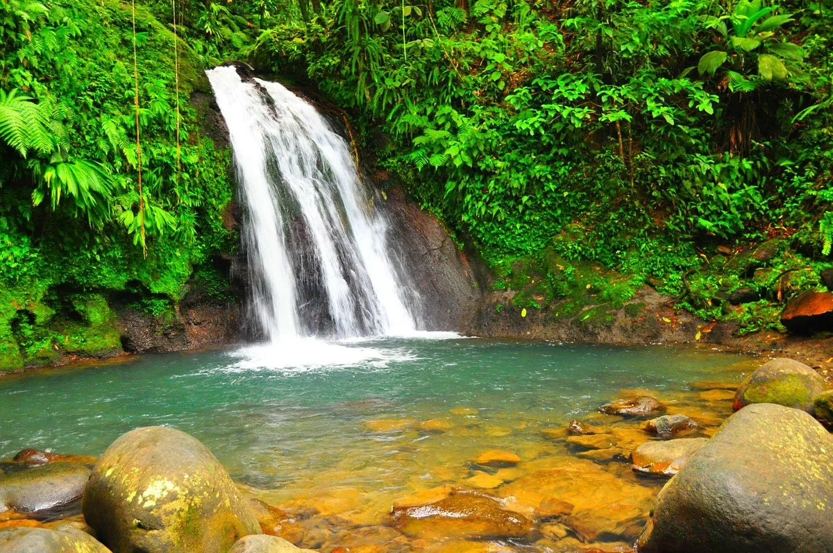 Guadeloupe National Park