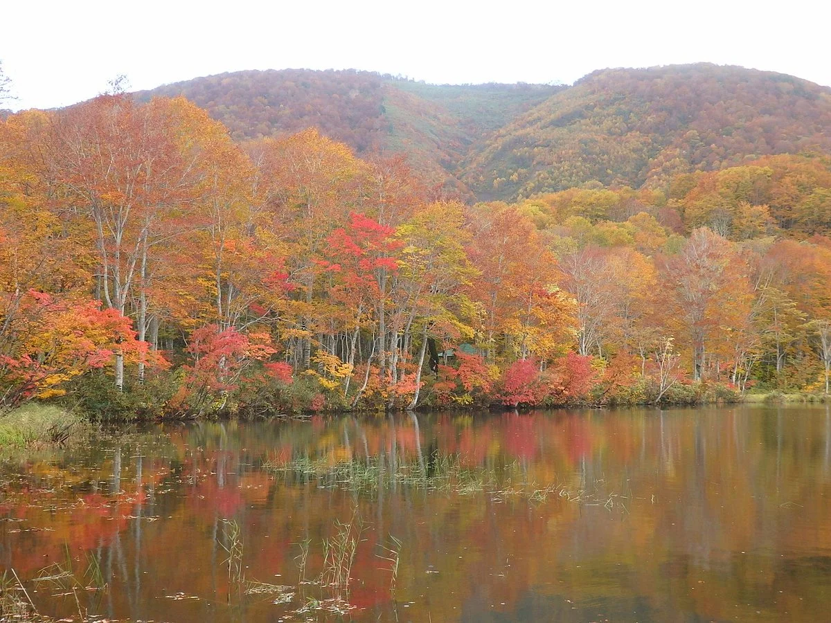 Shiraike Lake