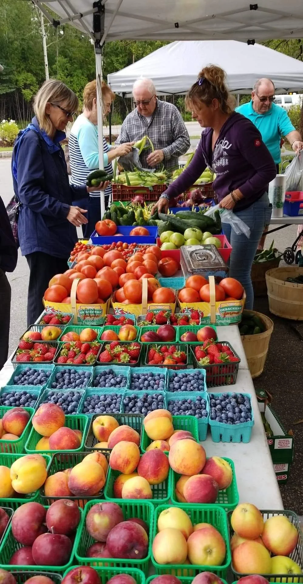 Wasaga Beach Farmers Market