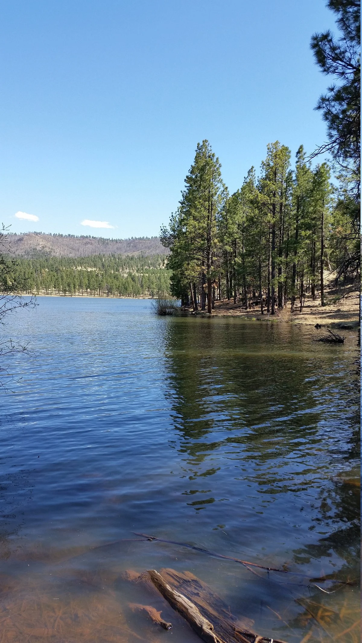 West Baldy Trail