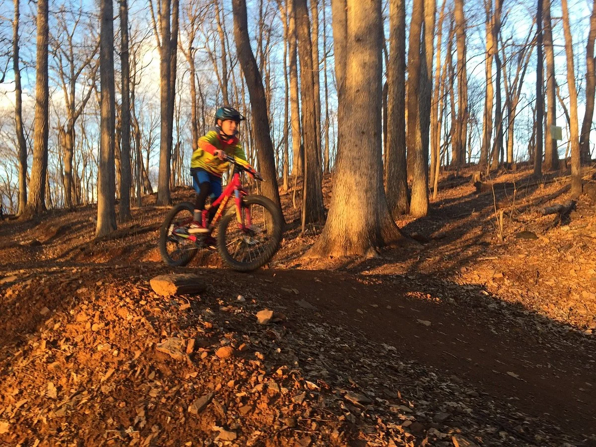 Rocky Knob Park