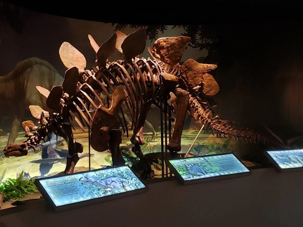 Anniston Museum of Natural History