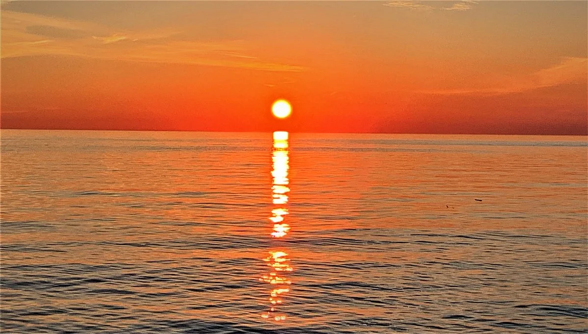 Webster Park