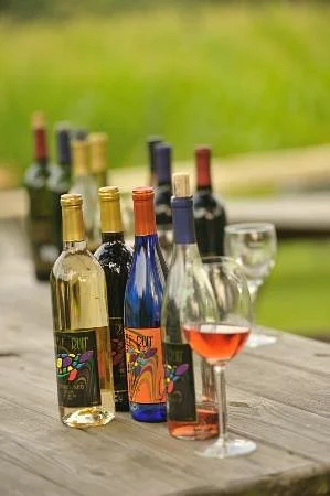 Turtle Run Winery