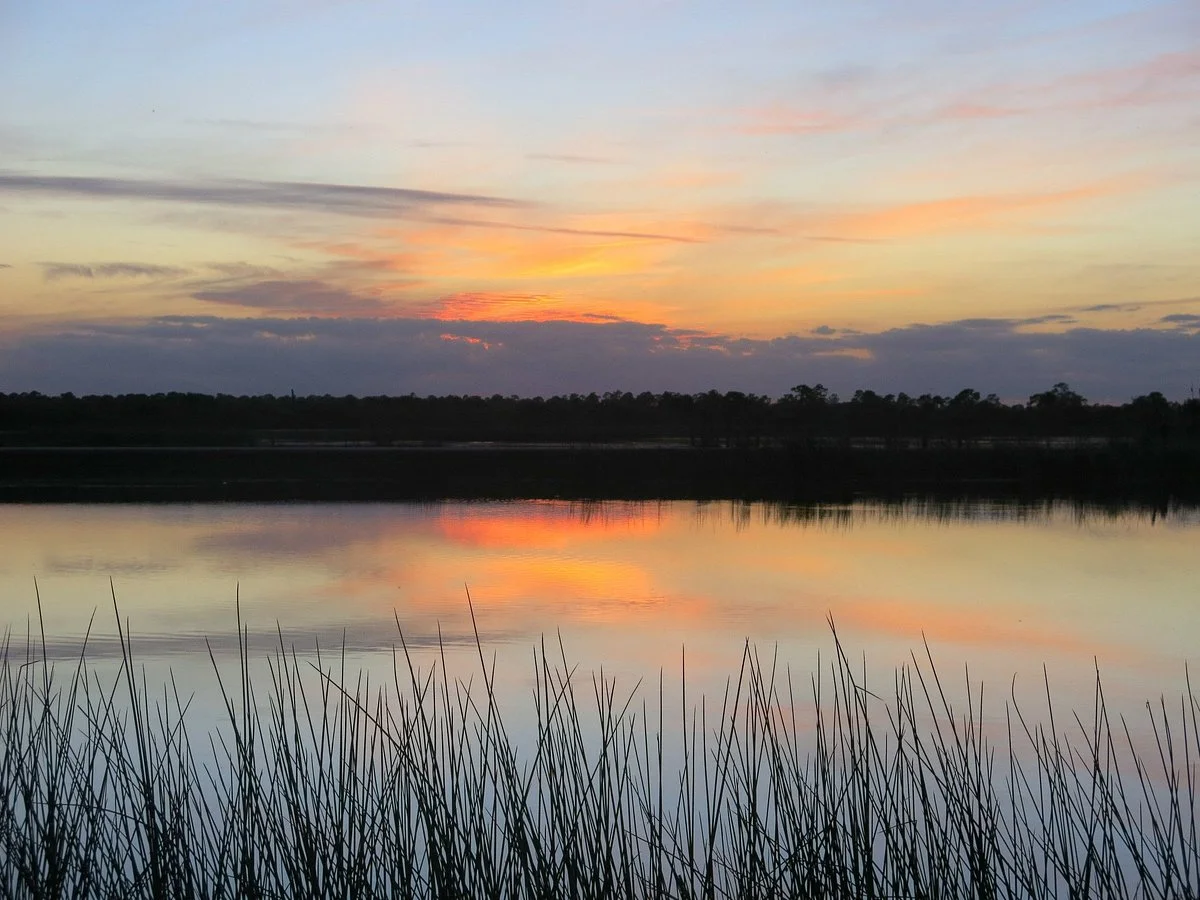 Ritch Grissom Memorial Wetlands