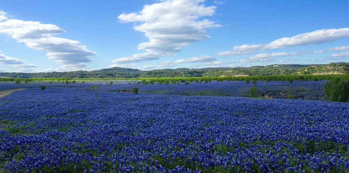 Muleshoe Bend Recreation Area