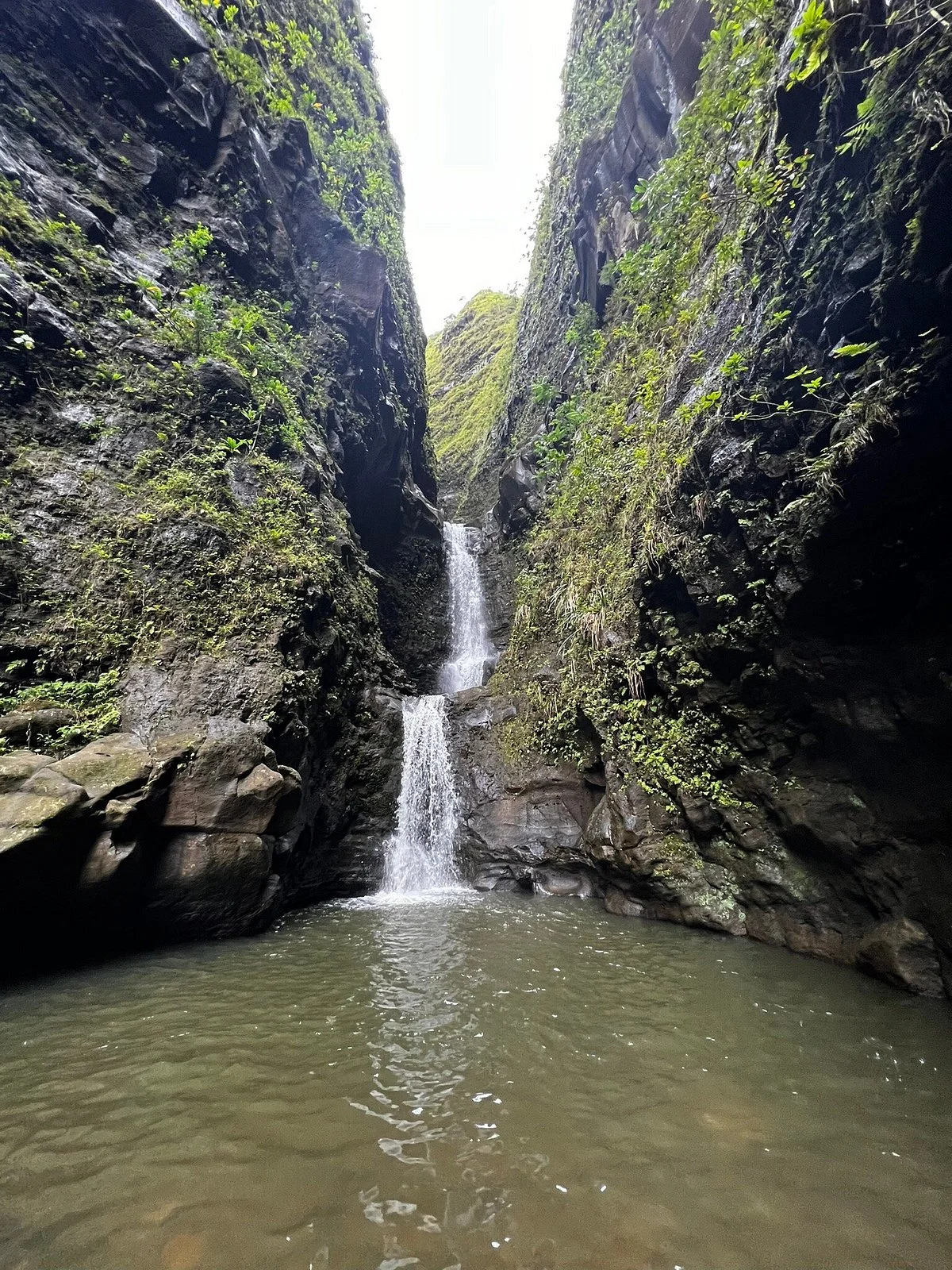 Makaleha Falls Trail