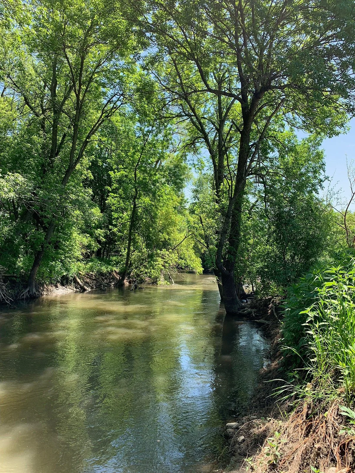 Plum Creek