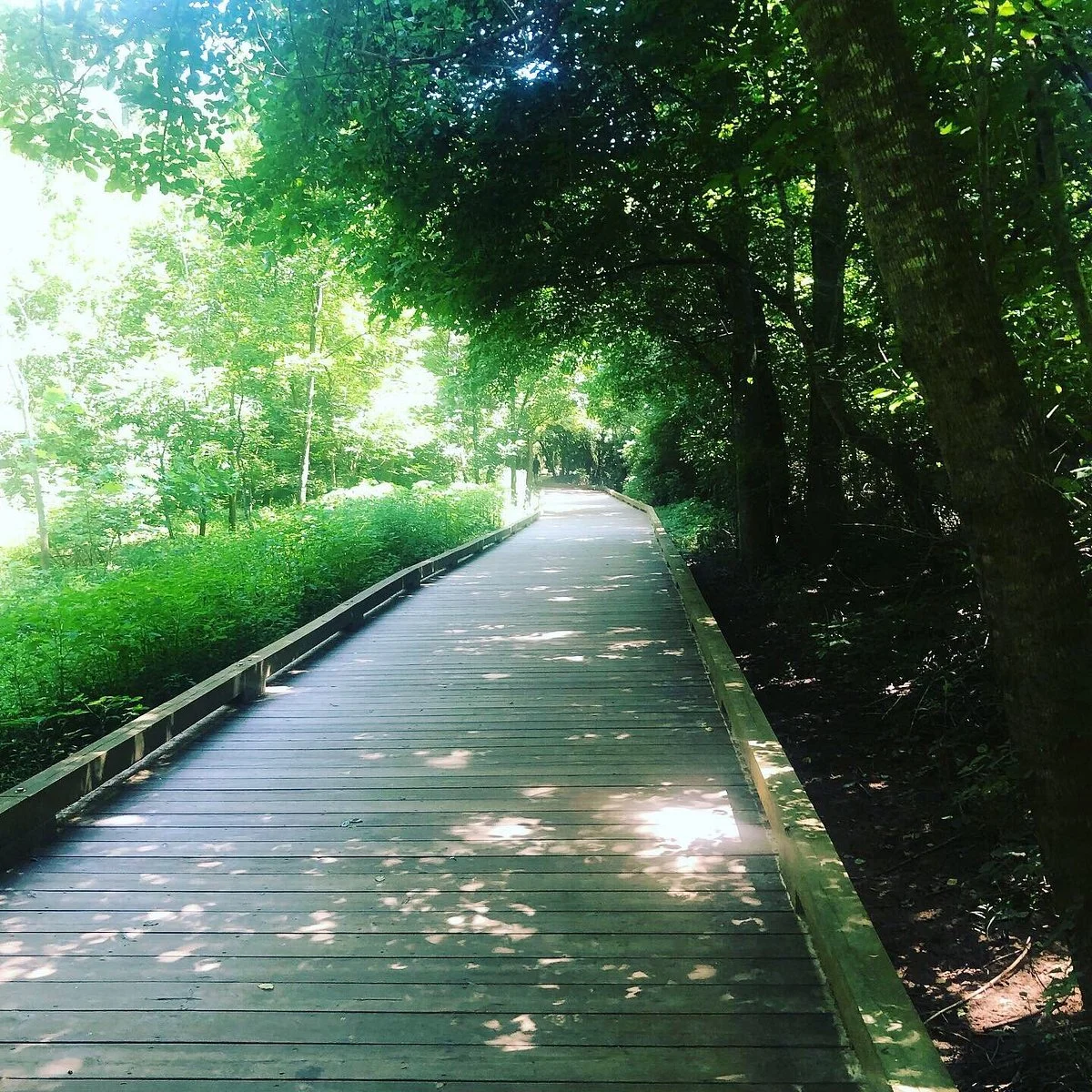 Four Mile Creek Greenway