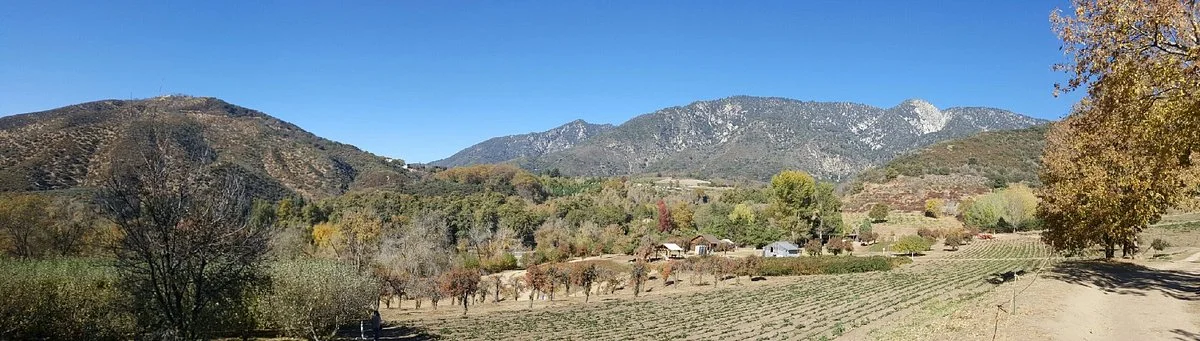 Riley's Apple Farm