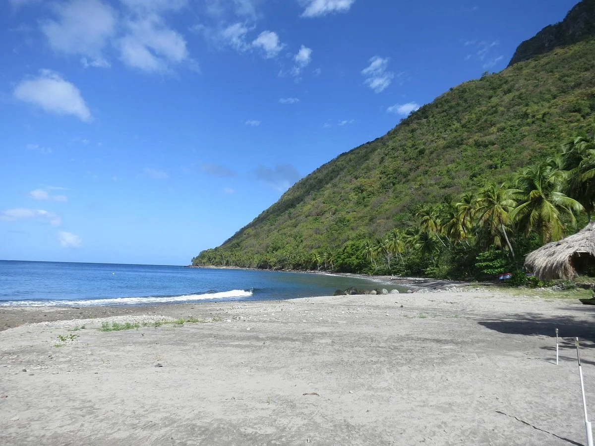 Carib Beach BarBQ (Zion Lion Farm)