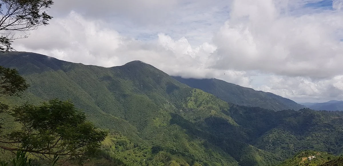 Cinchona Botanical Gardens