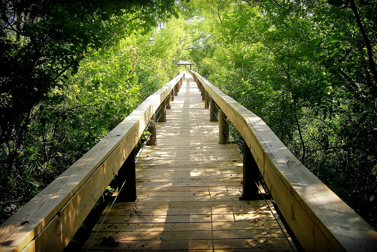 Fort Worth Nature Center & Refuge