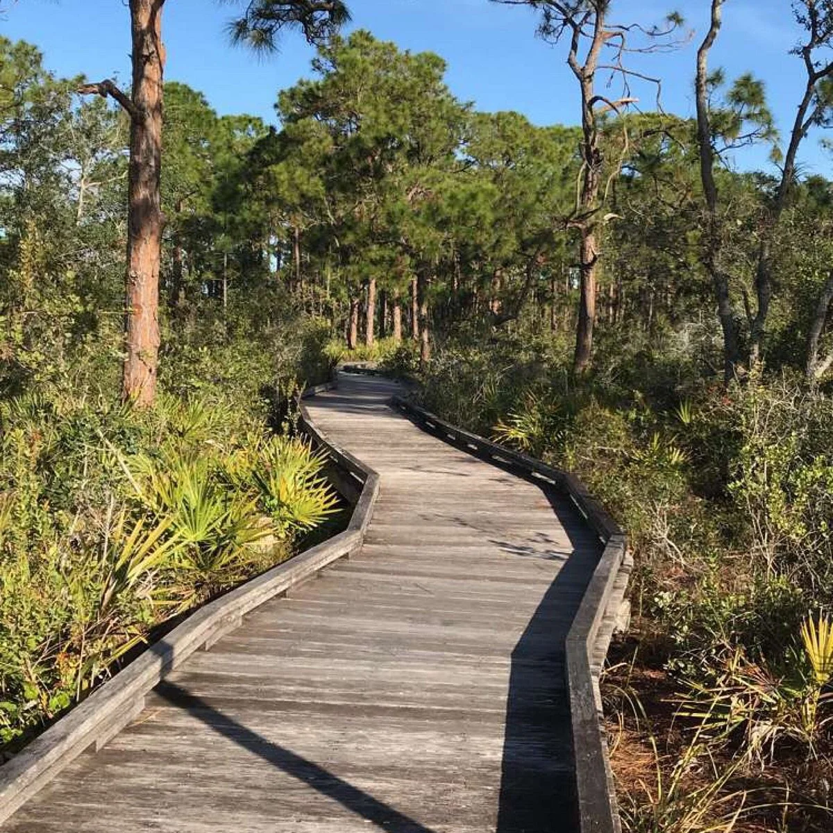 The Naples Preserve