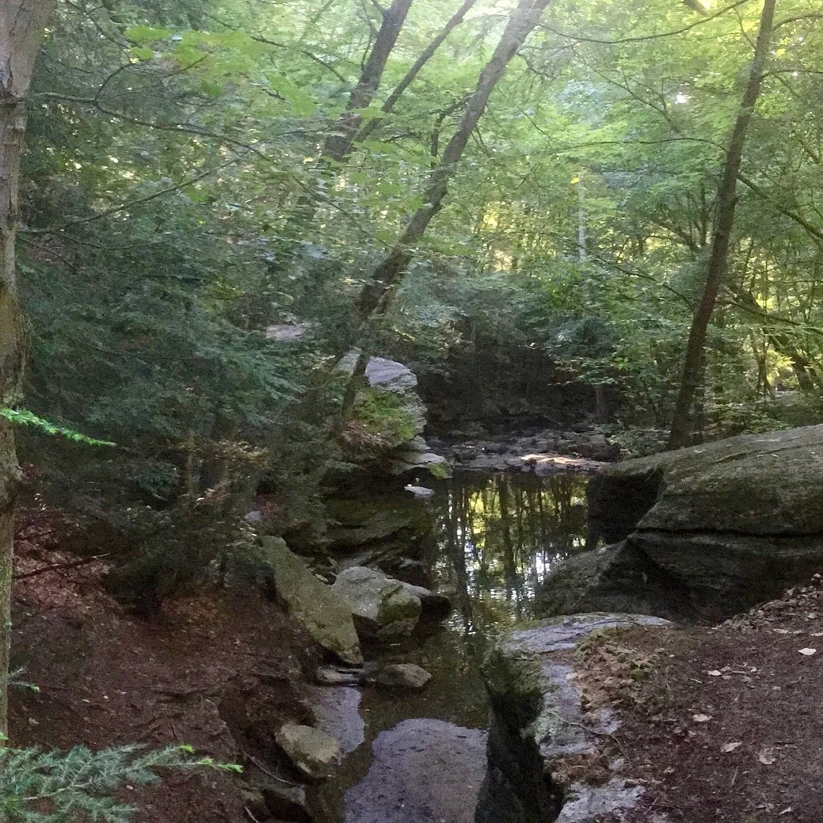 Indian Ledge Park
