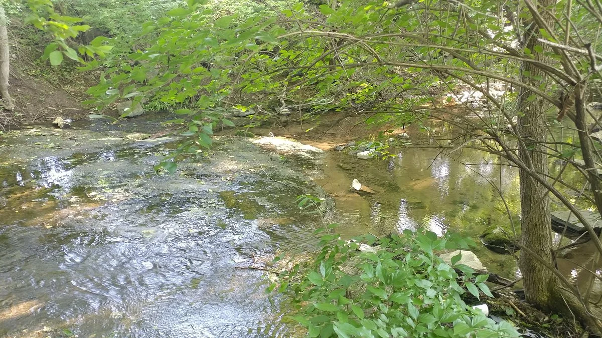 Crockett Park