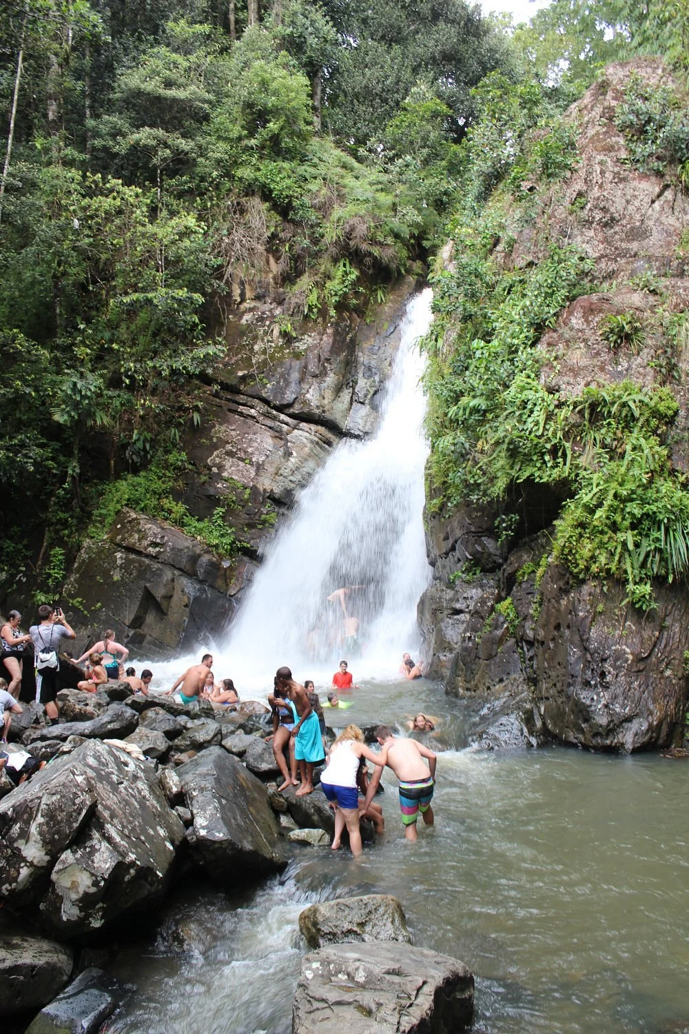 La Selva