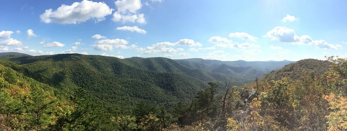 Tioga State Forest