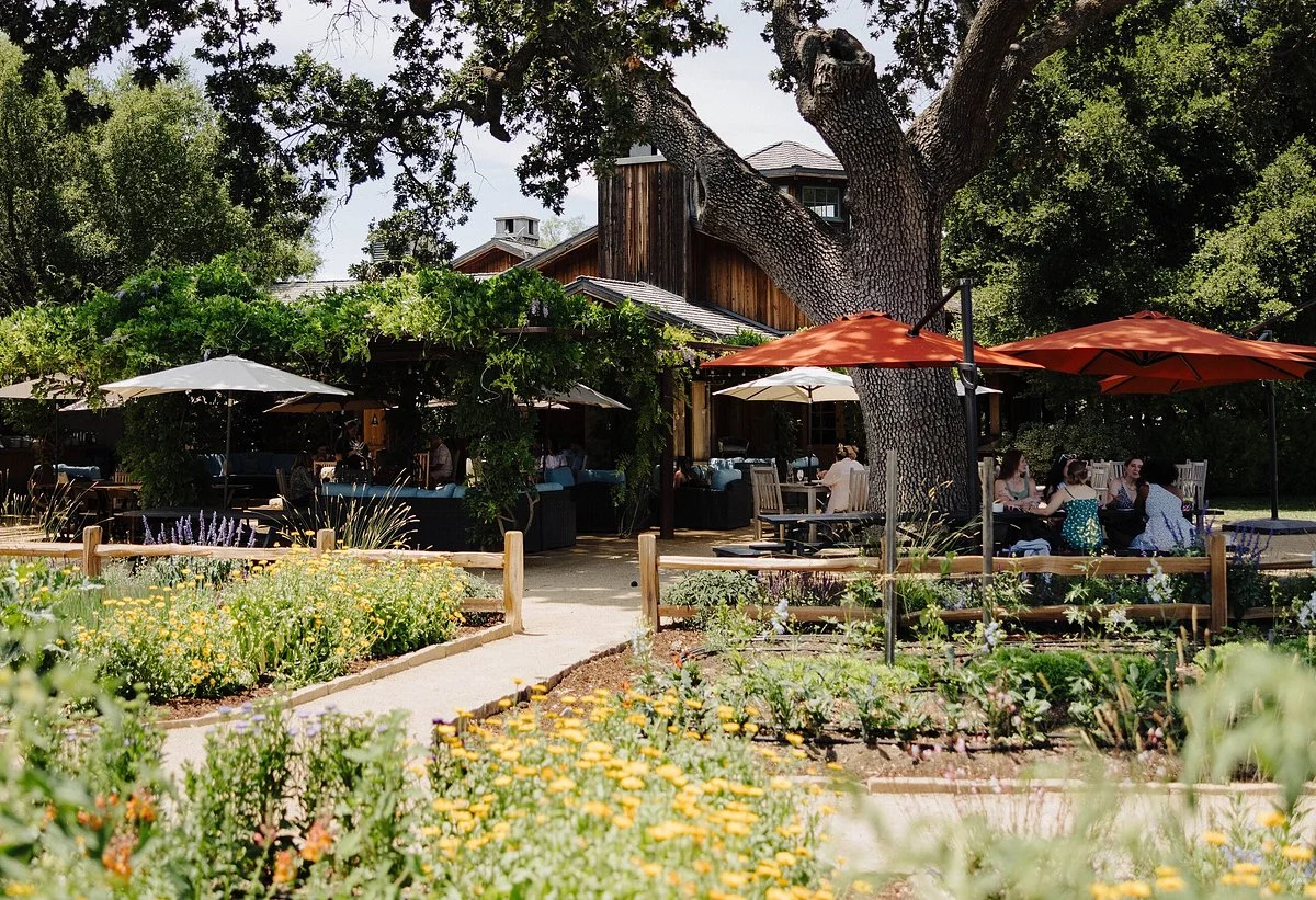 Roblar Winery & Vineyards