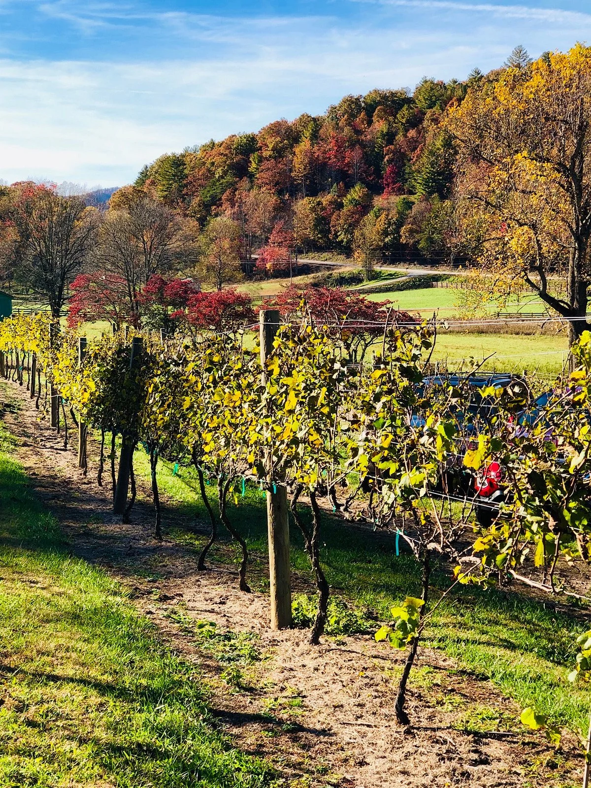 Hightower Creek Vineyards