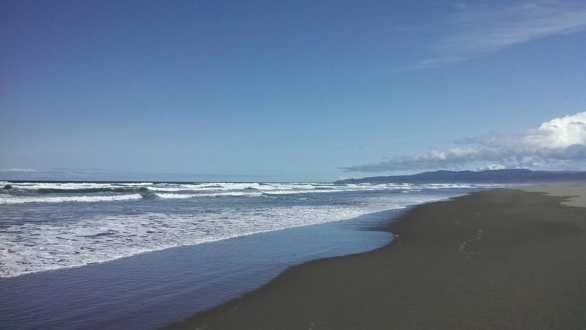 Humboldt Bay