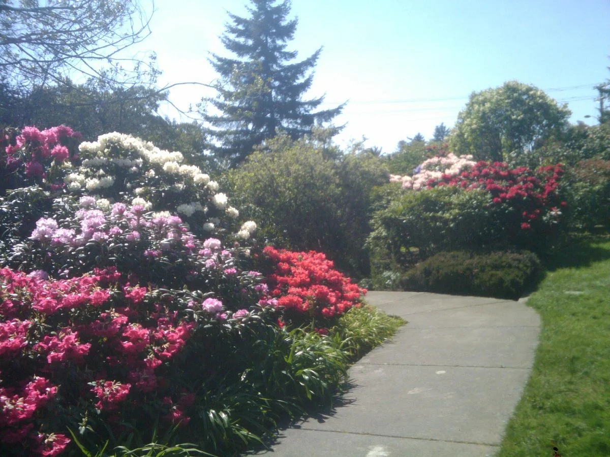 Azalea Park