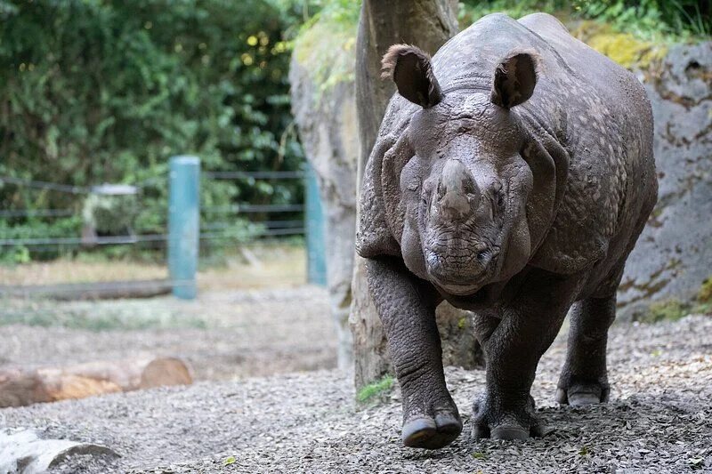 Woodland Park Zoo