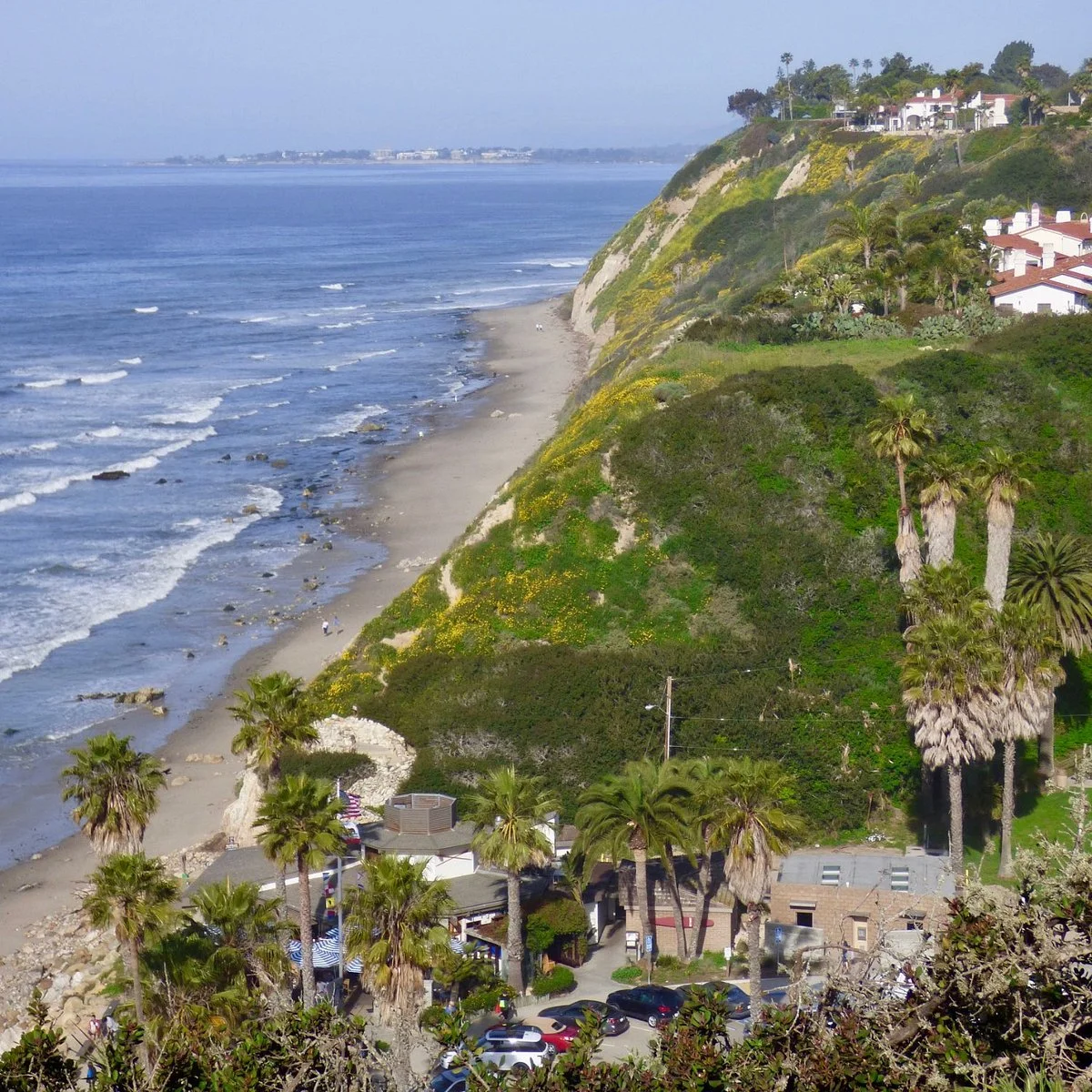 Douglas Family Preserve