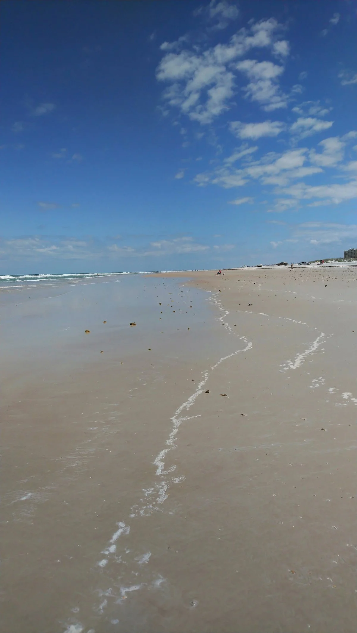 New Smyrna Beach Dog Park