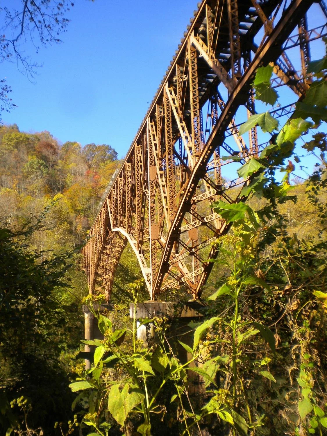 Big South Fork Scenic Railway