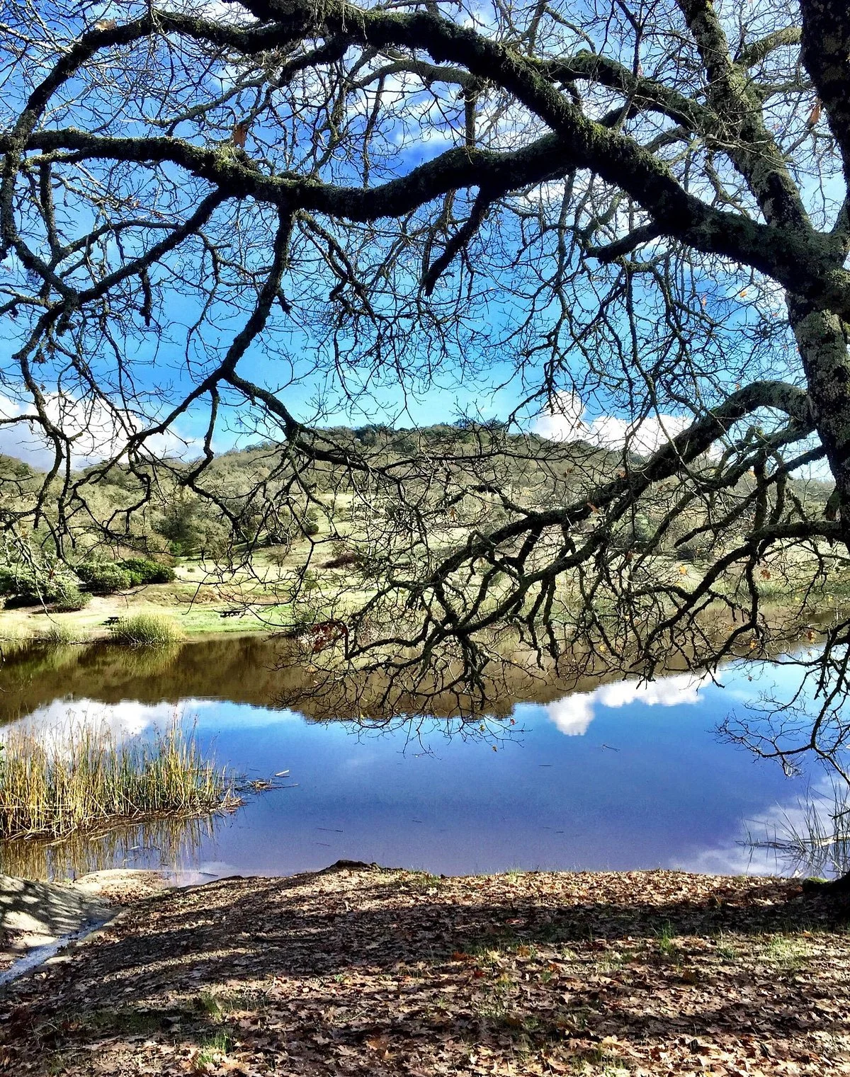 Foothill Regional Park