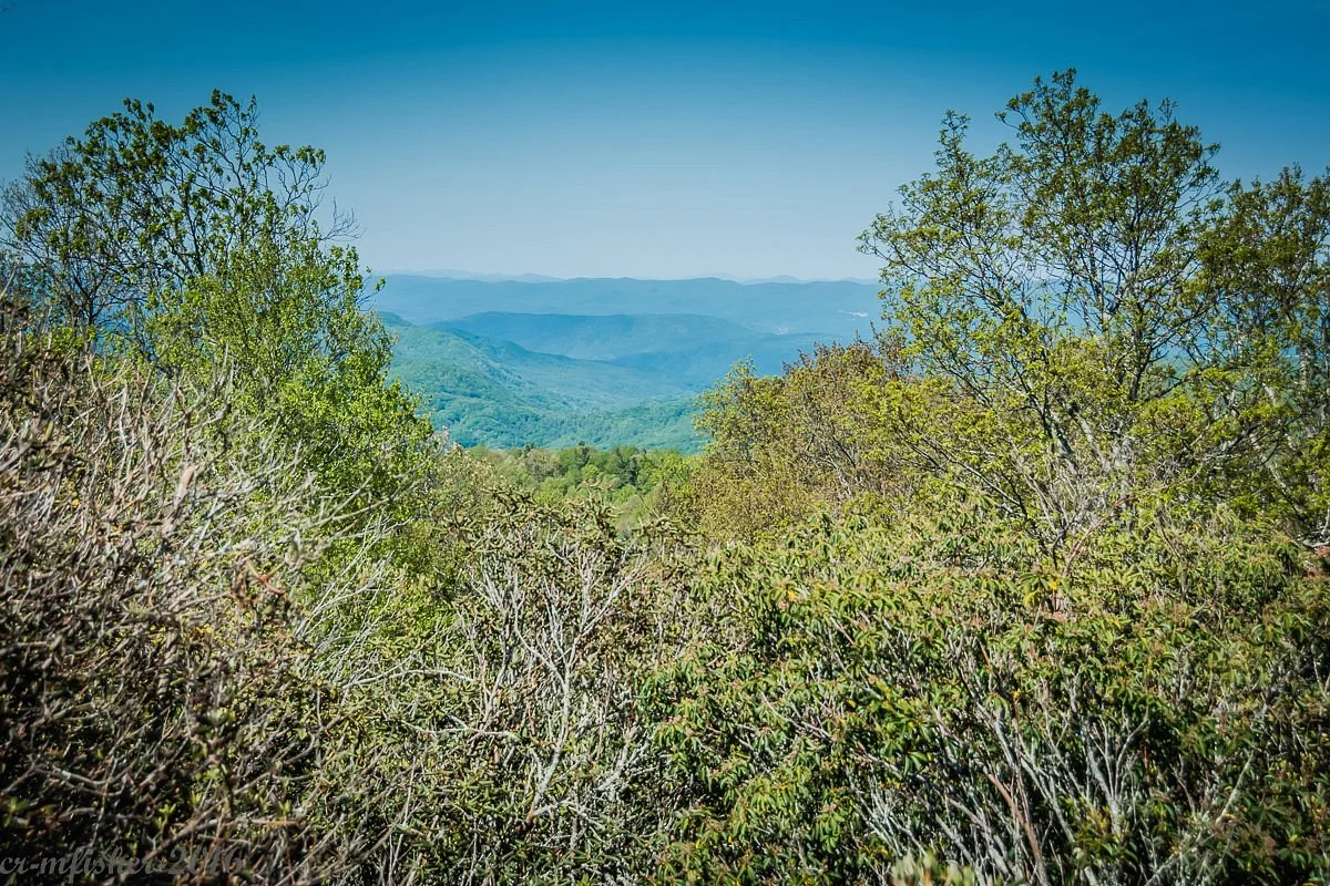 Sassafras Mountain