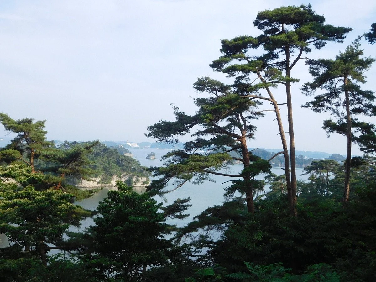 Zuihogaoka Hill