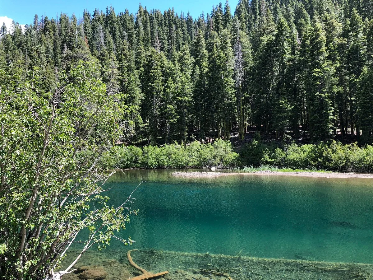 Truckee River Bike Trail