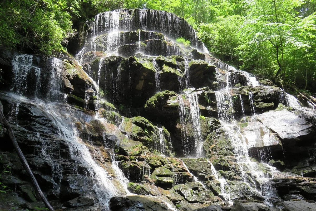 Yellow Branch Falls