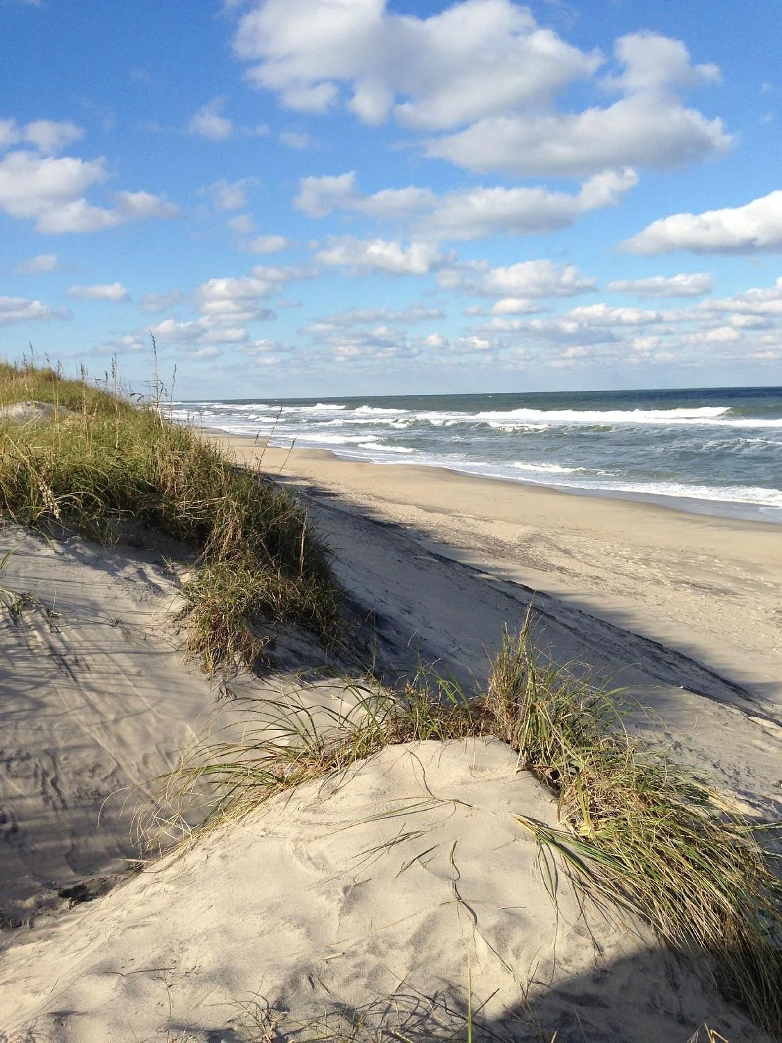 Pea Island National Wildlife Refuge