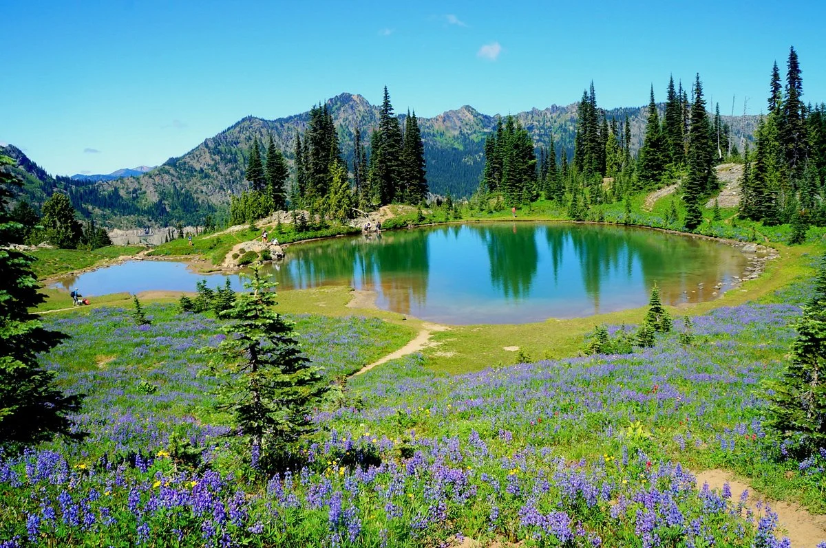 Tipsoo Lake Loop