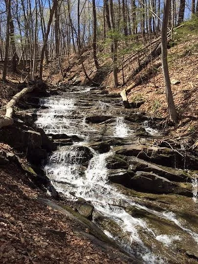 Falling Waters Preserve